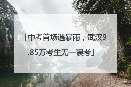中考首场遇暴雨，武汉9.85万考生无一误考