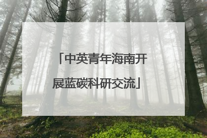 中英青年海南开展蓝碳科研交流
