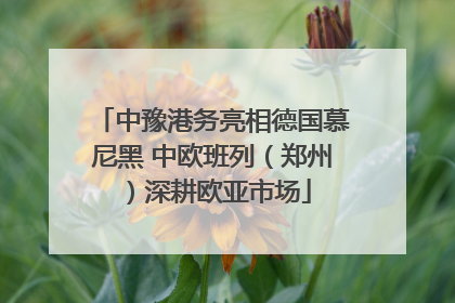 中豫港务亮相德国慕尼黑 中欧班列（郑州）深耕欧亚市场