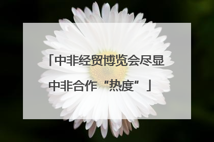 中非经贸博览会尽显中非合作“热度”