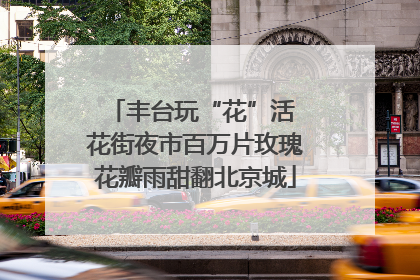 丰台玩“花”活 花街夜市百万片玫瑰花瓣雨甜翻北京城