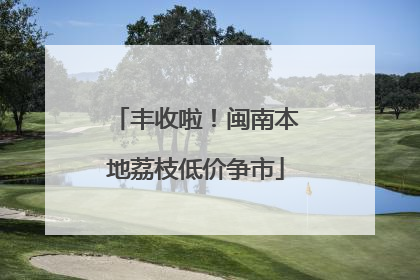 丰收啦！闽南本地荔枝低价争市