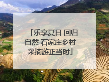 乐享夏日 回归自然 石家庄乡村采摘游正当时