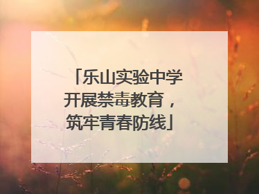 乐山实验中学开展禁毒教育，筑牢青春防线