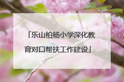 乐山柏杨小学深化教育对口帮扶工作建设