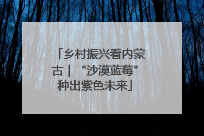乡村振兴看内蒙古｜“沙漠蓝莓”种出紫色未来