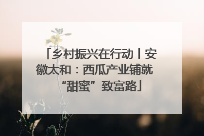 乡村振兴在行动丨安徽太和：西瓜产业铺就“甜蜜”致富路