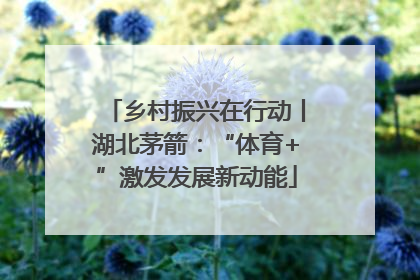 乡村振兴在行动丨湖北茅箭：“体育+”激发发展新动能