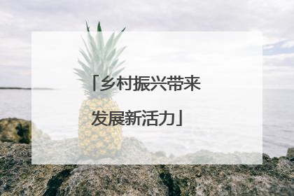 乡村振兴带来发展新活力