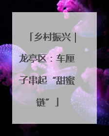 乡村振兴｜龙亭区：车厘子串起“甜蜜链”