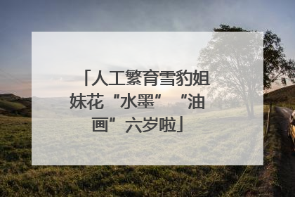 人工繁育雪豹姐妹花“水墨”“油画”六岁啦