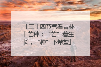 二十四节气看吉林丨芒种：“芒”着生长，“种”下希望