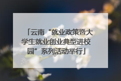 云南“就业政策暨大学生就业创业典型进校园”系列活动举行