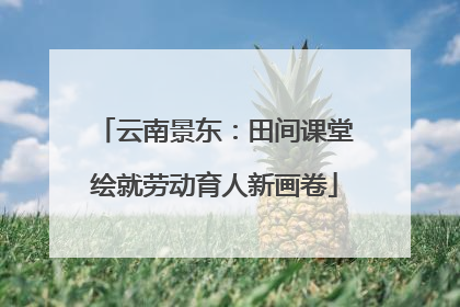 云南景东：田间课堂绘就劳动育人新画卷