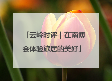 云岭时评｜在南博会体验旅居的美好