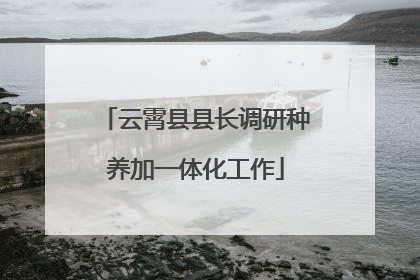 云霄县县长调研种养加一体化工作
