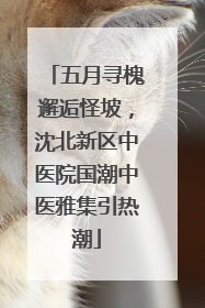 五月寻槐邂逅怪坡，沈北新区中医院国潮中医雅集引热潮