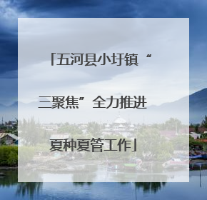 五河县小圩镇“三聚焦”全力推进夏种夏管工作