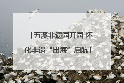 五溪非遗园开园 怀化非遗“出海”启航