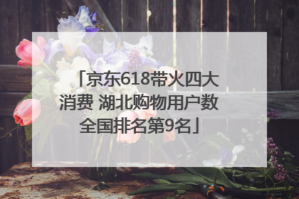 京东618带火四大消费 湖北购物用户数全国排名第9名
