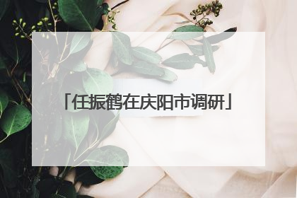 任振鹤在庆阳市调研