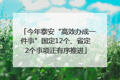 今年泰安“高效办成一件事”国定12个、省定2个事项正有序推进