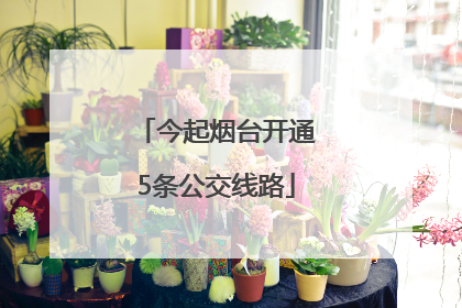 今起烟台开通5条公交线路