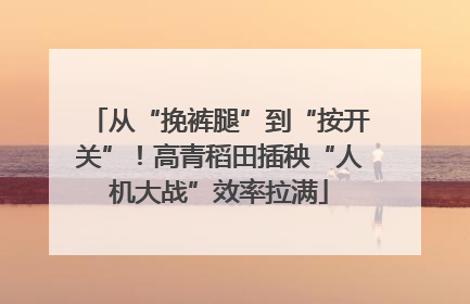 从“挽裤腿”到“按开关”！高青稻田插秧“人机大战”效率拉满