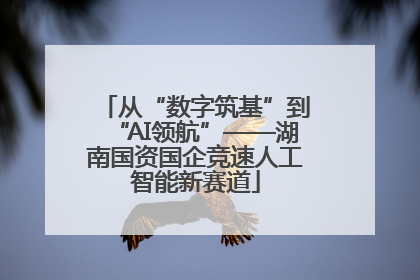 从“数字筑基”到“AI领航”——湖南国资国企竞速人工智能新赛道