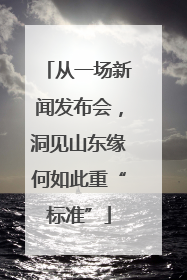 从一场新闻发布会，洞见山东缘何如此重“标准”