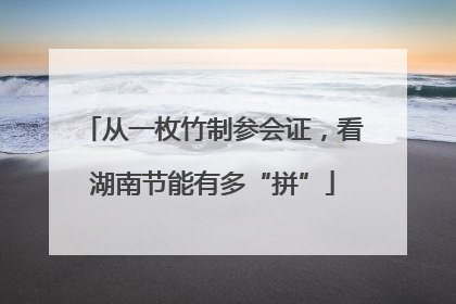 从一枚竹制参会证，看湖南节能有多“拼”