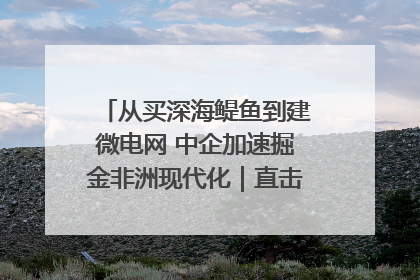 从买深海鳀鱼到建微电网 中企加速掘金非洲现代化｜直击中非经贸博览会