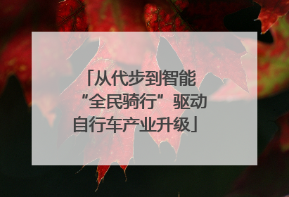 从代步到智能 “全民骑行”驱动自行车产业升级