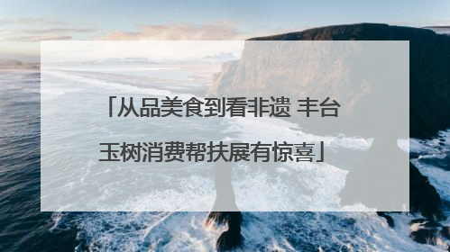 从品美食到看非遗 丰台玉树消费帮扶展有惊喜