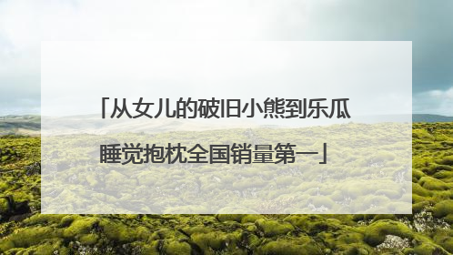 从女儿的破旧小熊到乐瓜睡觉抱枕全国销量第一