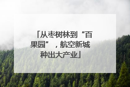从枣树林到“百果园”，航空新城种出大产业