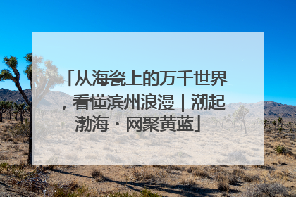 从海瓷上的万千世界，看懂滨州浪漫｜潮起渤海・网聚黄蓝