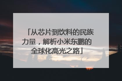 从芯片到饮料的民族力量，解析小米东鹏的全球化高光之路