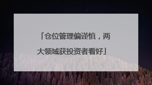仓位管理偏谨慎，两大领域获投资者看好