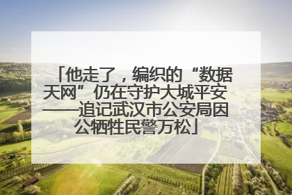 他走了，编织的“数据天网”仍在守护大城平安——追记武汉市公安局因公牺牲民警万松