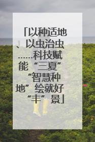 以种适地、以虫治虫……科技赋能“三夏” “智慧种地”绘就好“丰”景