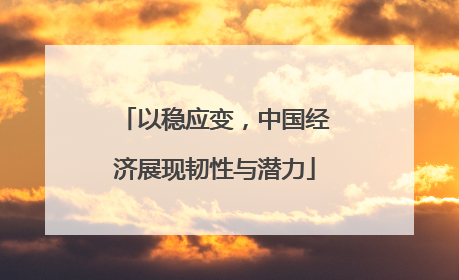 以稳应变,中国经济展现韧性与潜力