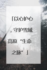 以心护心，守护雪域高原“生命之脉”