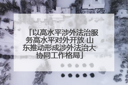 以高水平涉外法治服务高水平对外开放 山东推动形成涉外法治大协同工作格局