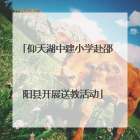 仰天湖中建小学赴邵阳县开展送教活动