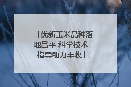 优新玉米品种落地昌平 科学技术指导助力丰收