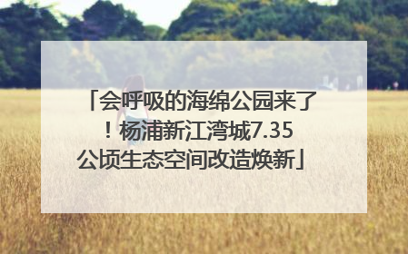 会呼吸的海绵公园来了！杨浦新江湾城7.35公顷生态空间改造焕新