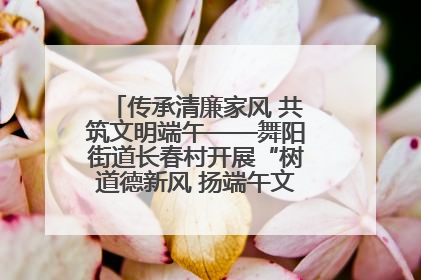 传承清廉家风 共筑文明端午——舞阳街道长春村开展“树道德新风 扬端午文化”主题活动