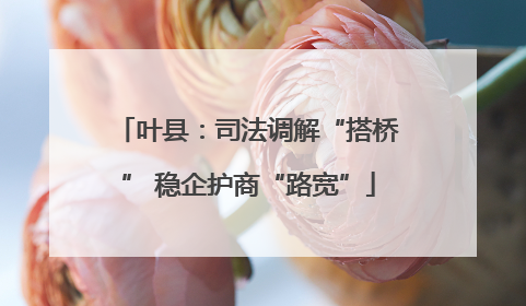 叶县：司法调解“搭桥” 稳企护商“路宽”