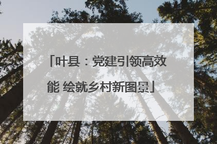 叶县：党建引领高效能 绘就乡村新图景
